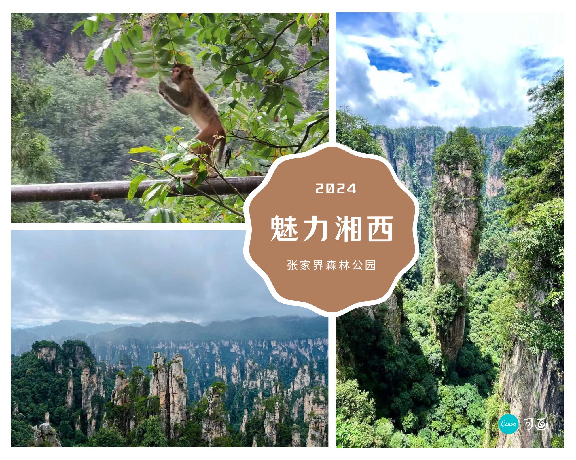 1722843465935400.jpg 1722843465935400.jpg